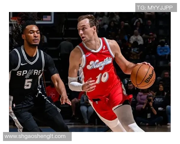 老鹰与灰熊精彩对决全场录像回放及精彩瞬间分析